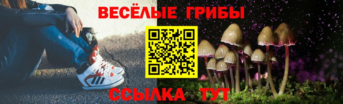 Галлюциногенные грибы мухоморы Костомукша